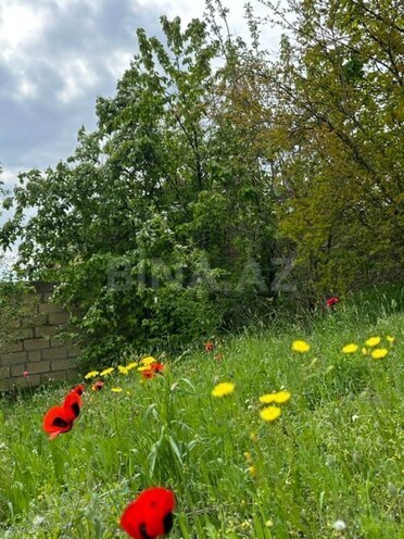 Satılır  torpaq 31 sot, photo 8 from 10