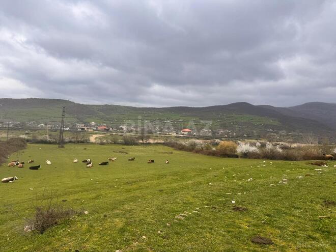 Продаётся  участок 36 сот, photo 6 from 7