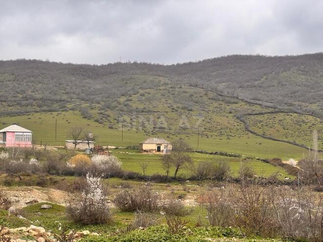 Продаётся  участок 36 сот, photo 4 from 7