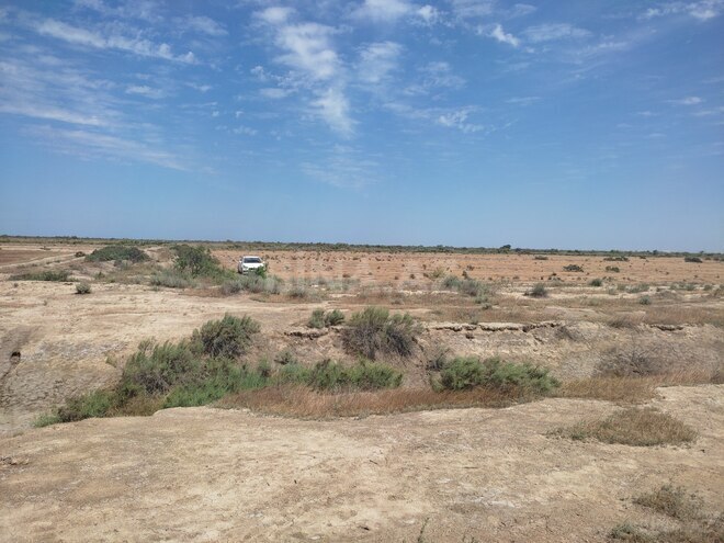 Satılır  torpaq 602.5 sot, photo 7 from 12