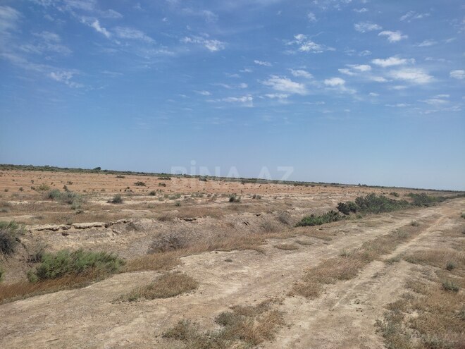 Satılır  torpaq 602.5 sot, photo 4 from 12