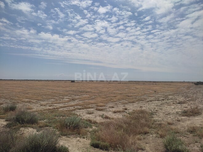 Satılır  torpaq 602.5 sot, photo 8 from 12