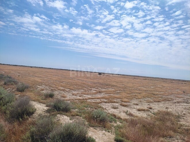 Satılır  torpaq 602.5 sot, photo 3 from 12