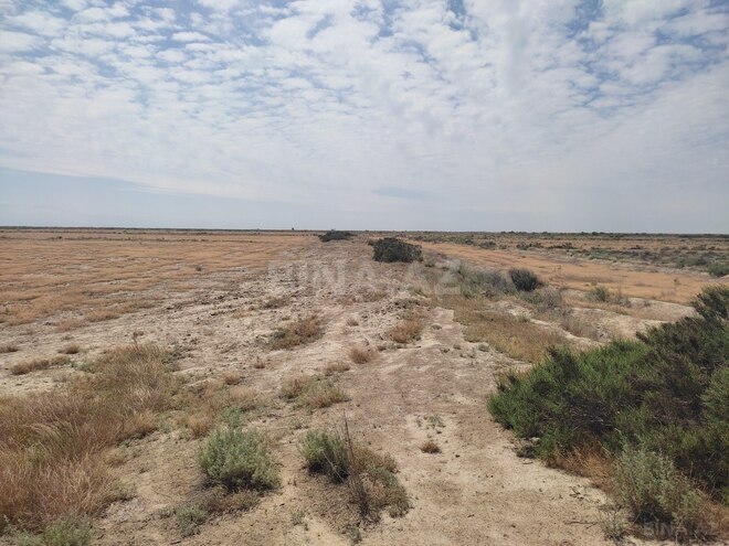 Satılır  torpaq 602.5 sot, photo 5 from 12