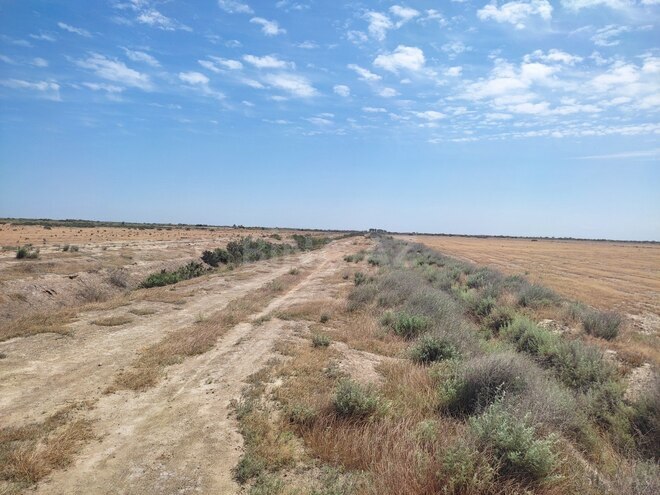 Satılır  torpaq 602.5 sot, photo 6 from 12