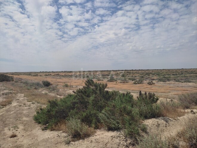 Satılır  torpaq 602.5 sot, photo 10 from 12