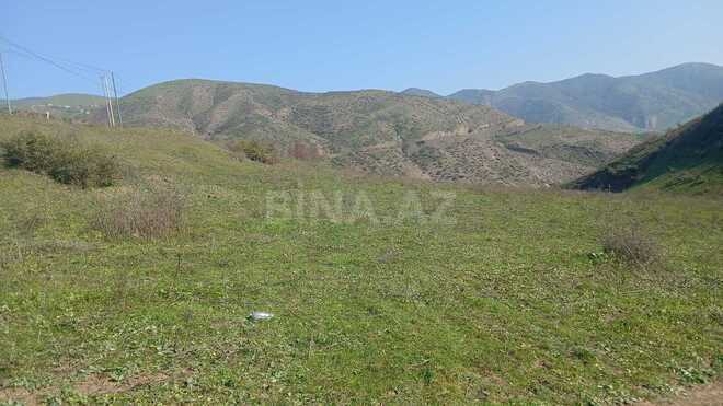 Продаётся  участок 300 сот, photo 3 from 5