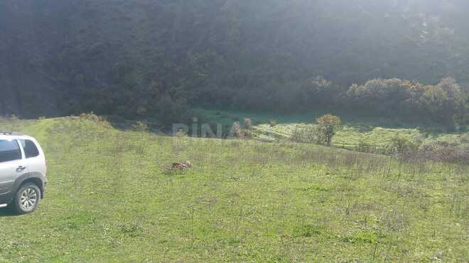 Продаётся  участок 300 сот, photo 4 from 5