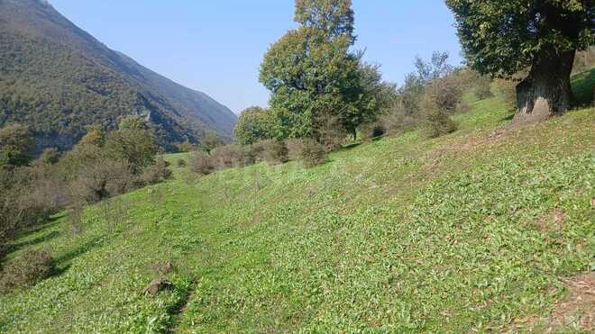 Продаётся  участок 50 сот, photo 6 from 7