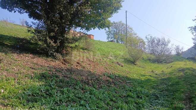 Продаётся  участок 50 сот, photo 5 from 7