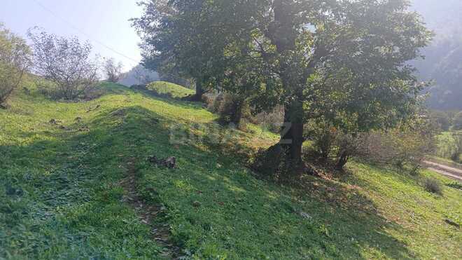 Продаётся  участок 50 сот, photo 3 from 7