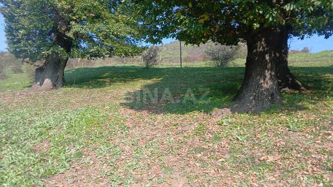 Продаётся  участок 50 сот, photo 4 from 7