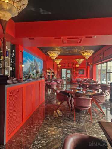 Сдаётся  объект 1 000 м², м. Низами, photo 7 from 16