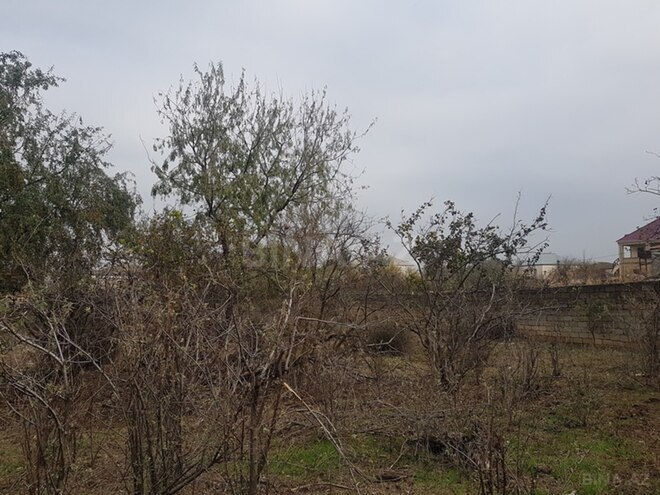 Satılır  torpaq 110 sot, Həzi Aslanov m., photo 3 from 6