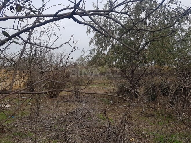 Satılır  torpaq 110 sot, Həzi Aslanov m., photo 4 from 6