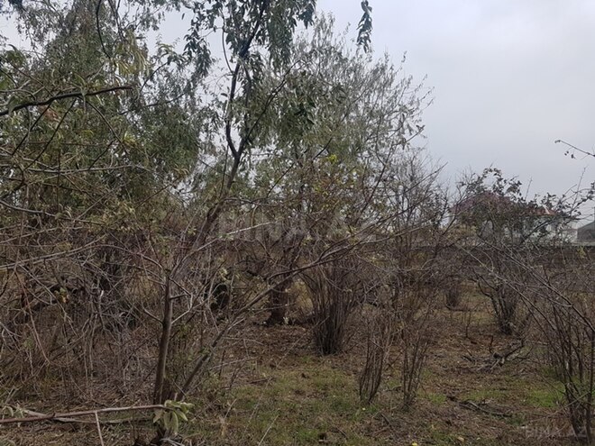 Продаётся  участок 2 000 сот, photo 3 from 6