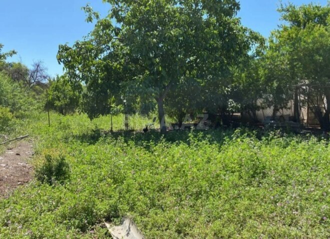 Продаётся 3-комн. дом/дача 100 м², photo 5 from 6