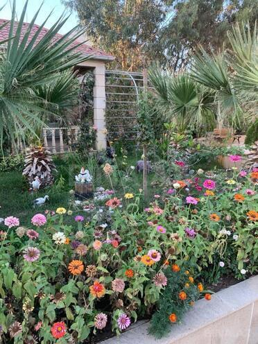 Продаётся 9-комн. дом/дача 655 м², Бинагадинский р., photo 9 from 14