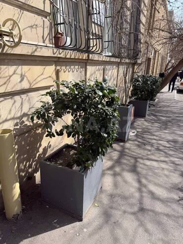 Продаётся  объект 99 м², м. Сахил, photo 15 from 21