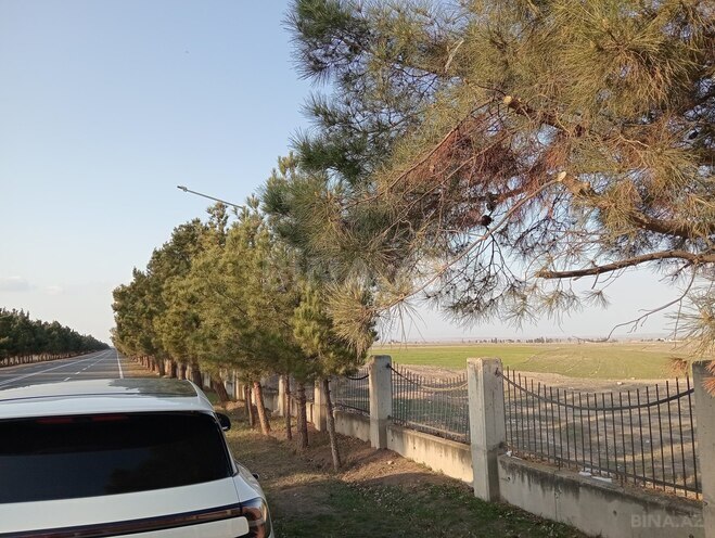 Satılır  torpaq 90 sot, photo 7 from 10