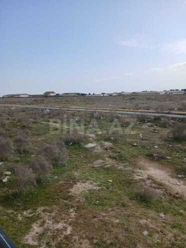 Satılır  torpaq 1 100 sot, Buzovna q., photo 3 from 6