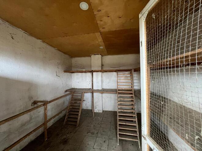 Сдаётся  участок 1.5 сот, Хачмазский р., photo 20 from 29