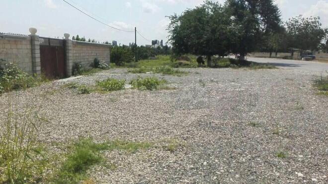 Сдаётся  участок 1.5 сот, Хачмазский р., photo 3 from 29