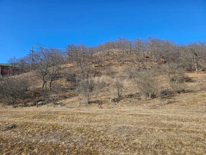 Satılır  torpaq 34 sot, photo 4 from 7