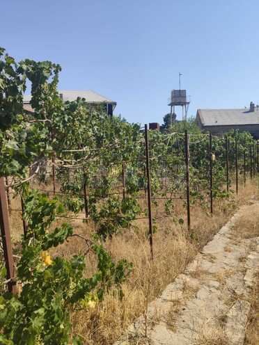 Satılır  torpaq 20 sot, Binə q., photo 3 from 7