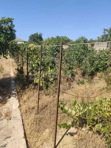 Satılır  torpaq 20 sot, Binə q., photo 4 from 7