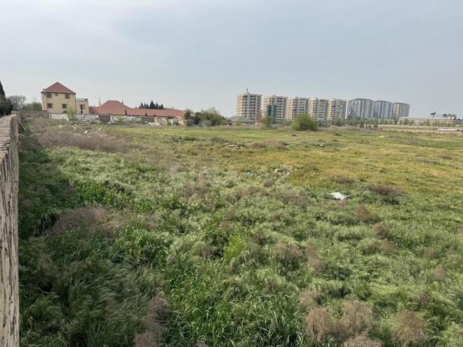 Продаётся  участок 340 сот, Абшеронcкий  р., photo 3 from 11