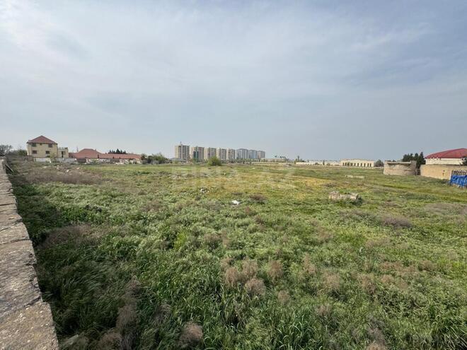 Продаётся  участок 340 сот, Абшеронcкий  р., photo 6 from 11