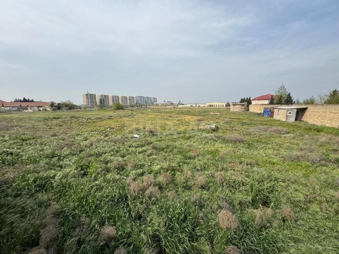 Продаётся  участок 340 сот, Абшеронcкий  р., photo 7 from 11