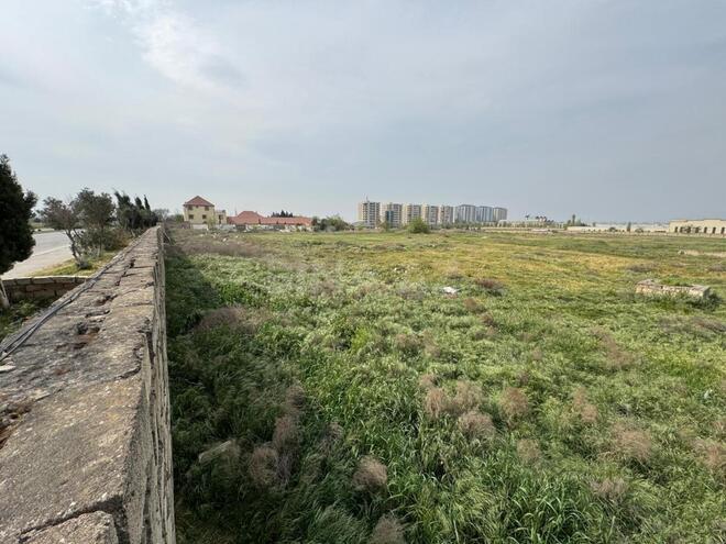 Продаётся  участок 340 сот, Абшеронcкий  р., photo 1 from 11