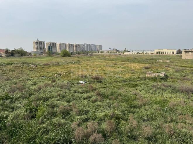Продаётся  участок 340 сот, Абшеронcкий  р., photo 5 from 11