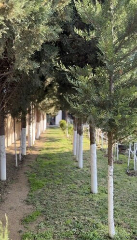 Satılır 9 otaqlı həyət evi/bağ evi 600 m², Novxanı q., photo 9 from 32