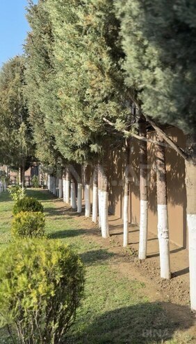 Satılır 9 otaqlı həyət evi/bağ evi 600 m², Novxanı q., photo 8 from 32