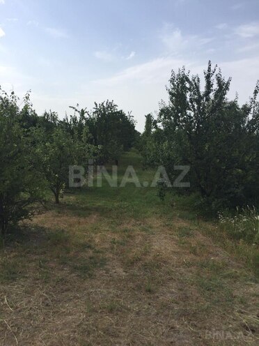 Satılır  torpaq 69 sot, Xaçmaz r., photo 3 from 14