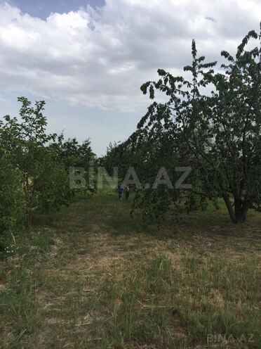 Satılır  torpaq 69 sot, Xaçmaz r., photo 5 from 14
