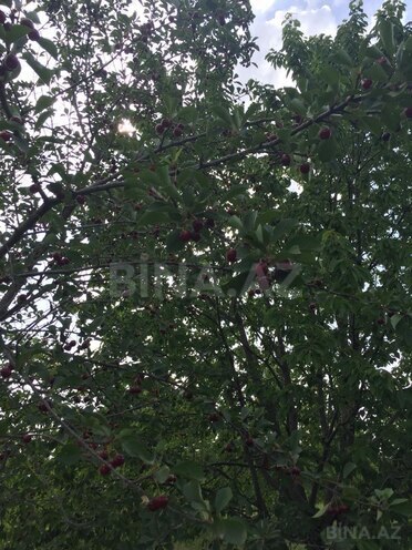 Satılır  torpaq 69 sot, Xaçmaz r., photo 8 from 14