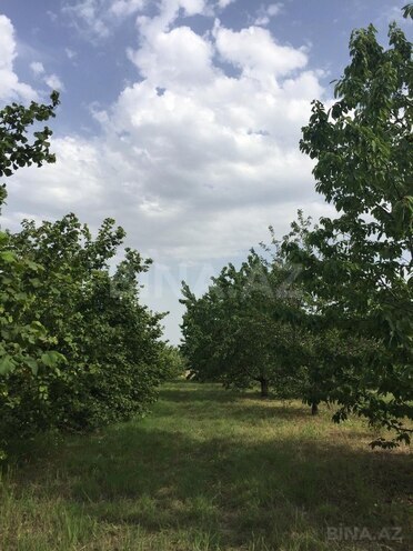 Satılır  torpaq 69 sot, Xaçmaz r., photo 9 from 14