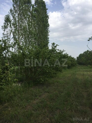 Satılır  torpaq 69 sot, Xaçmaz r., photo 10 from 14