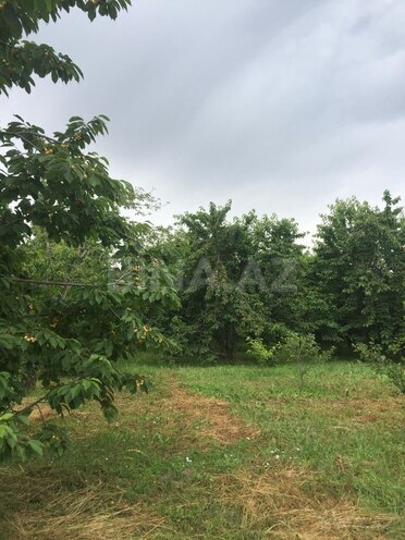 Satılır  torpaq 69 sot, Xaçmaz r., photo 12 from 14