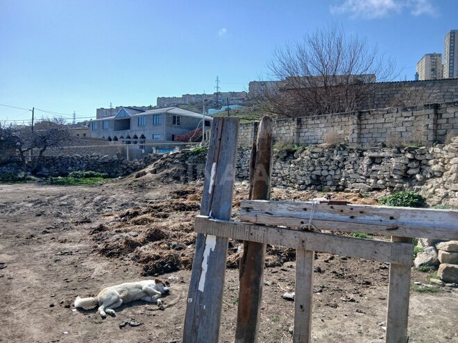 Satılır  torpaq 4.5 sot, Zığ q., photo 7 from 9