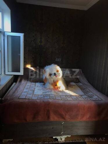 İcarəyə verilir 3 otaqlı həyət evi/bağ evi 110 m², Binəqədi q., photo 7 from 10