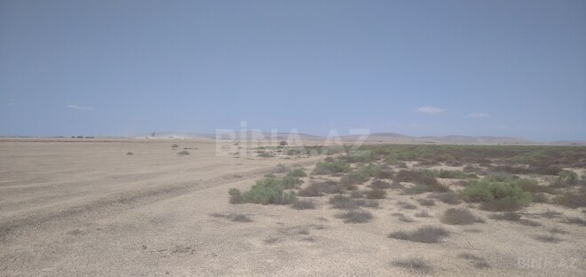 Satılır  torpaq 2 500 sot, Ələt q., photo 8 from 16