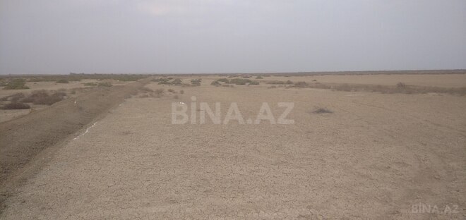 Satılır  torpaq 2 500 sot, Ələt q., photo 15 from 16