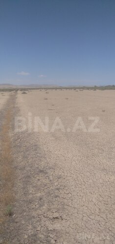 Satılır  torpaq 2 500 sot, Ələt q., photo 9 from 16