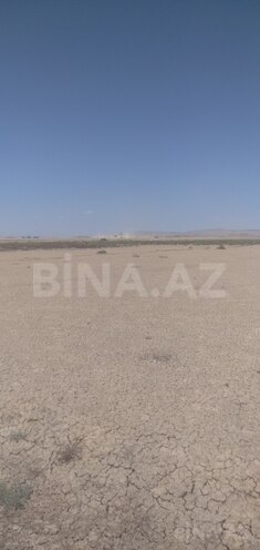 Satılır  torpaq 2 500 sot, Ələt q., photo 11 from 16