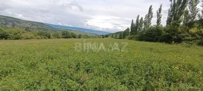 Продаётся  участок 20 сот, photo 8 from 12